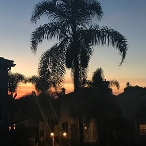 Meet your Posher, Devynn